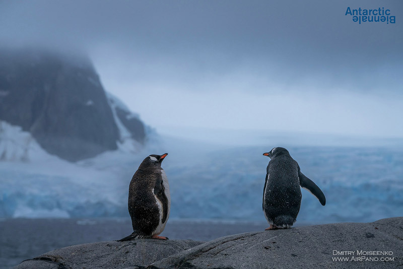 Antarctic Biennale