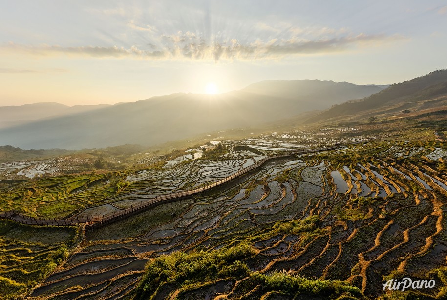 Rice Terraces, Yunnan province, China