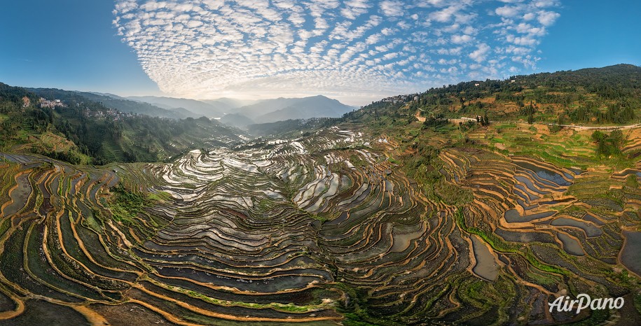 Rice Terraces, Yunnan province, China