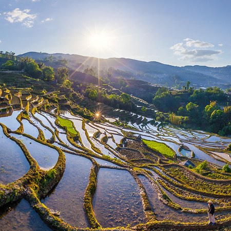 中國 元陽哈尼梯田