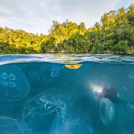 印度尼西亞 拉賈安帕特 水母灣 水面交界全景圖