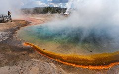 Yellowstone National Park #4