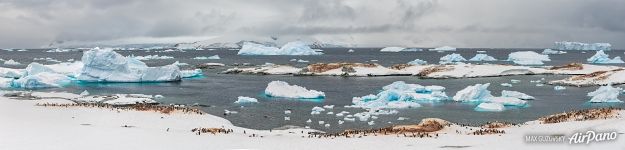 Penguins in Antarctica