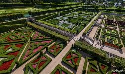 Gardens of the Chateau de Villandry