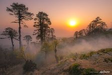 Dawn on the Dochula Pass