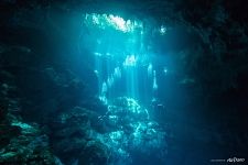 In cenotes of Mexico