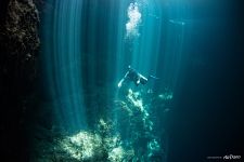 Cenote diving