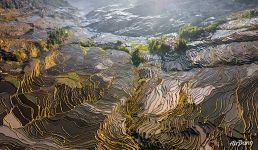 Yuanyang rice terrace