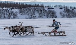 Reindeer Herder’s Day