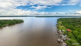 Jungle and the river