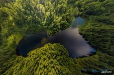 Over the forest lake, Spamberg mount. Sakhalin Island, Russia