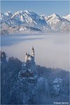 Neuschwanstein Catle in the winter #3