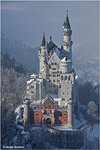 Neuschwanstein Catle in the winter #5