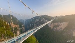 People on the Zhangjiajie Glass Bridge