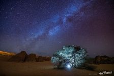 Night in desert