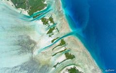 Little islands of Aldabra