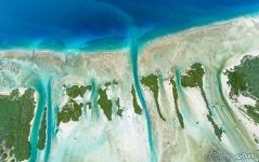 Little islands of Aldabra