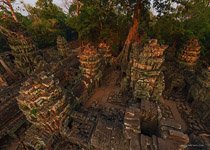 Ta Prohm temple #5